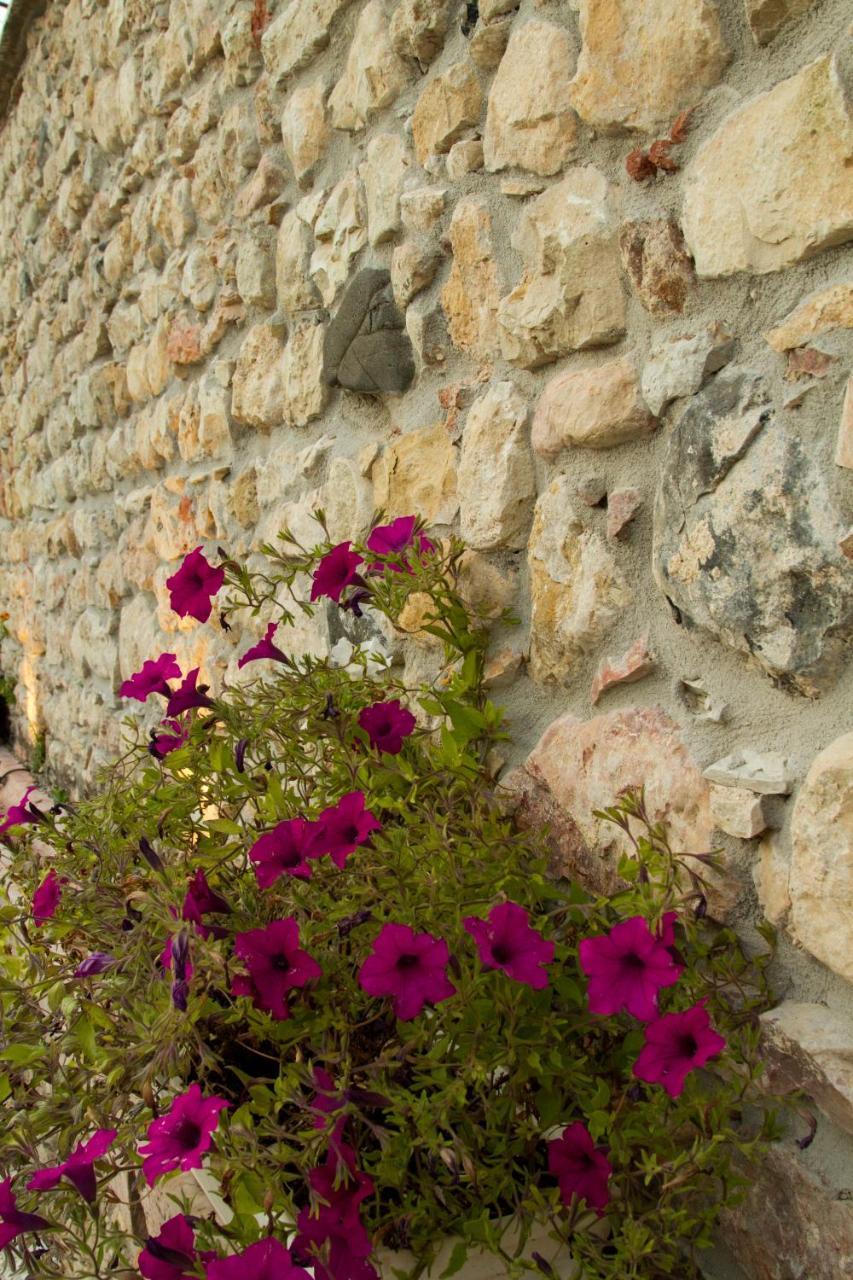 Villa Di Cazzano - Bioluxury Living Soave  Bagian luar foto