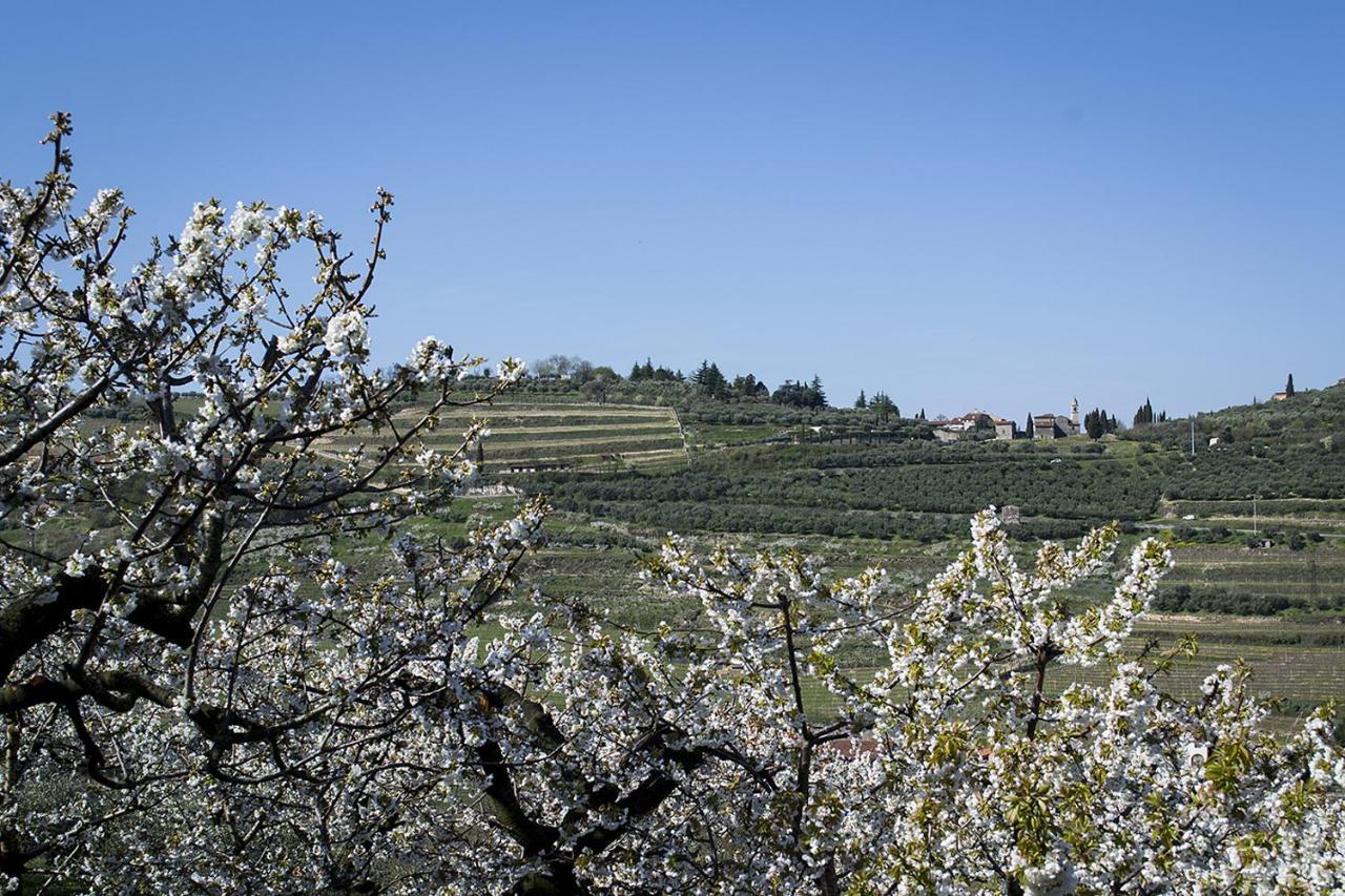Villa Di Cazzano - Bioluxury Living Soave  Bagian luar foto